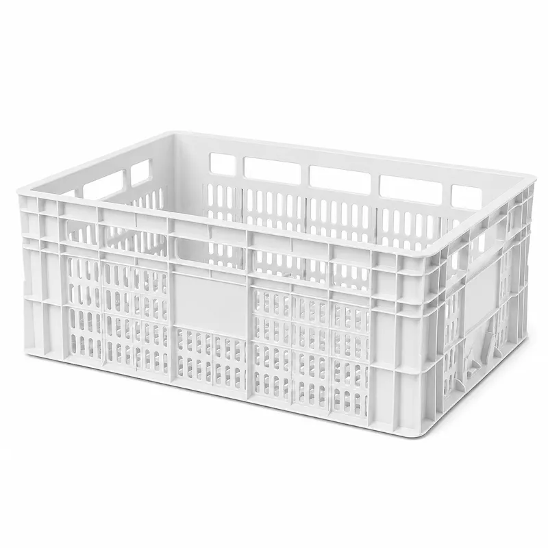 Miniatura da caixa plástica Caixa RP23 Totalmente Aberta na cor Branca - RP PLASS